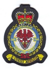 660 Squadron badge