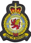 667 Squadron badge