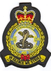 670 Squadron badge