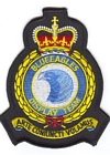 Blue Eagles Helicopter Display Team badge