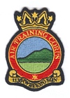 1130 Squadron badge