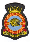 2238 Squadron badge
