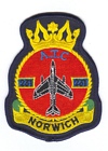 231 Squadron badge