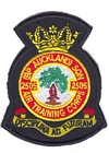 2505 Squadron badge