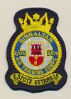 2 Overseas Squadron badge