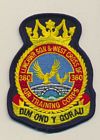 360 Squadron & Detached Flight badge