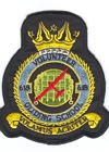 618 VGS badge
