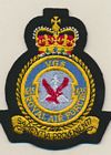635 VGS badge