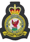 637 VGS badge