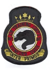 6F Squadron badge