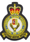 CGS badge