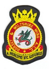 Dorset & Wiltshire Wing badge