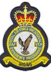 RAF Vocational Experience Programme badge
