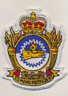 10 Field Technical Training Unit/Squadron badge