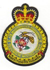 14 Air Maintenance Squadron badge