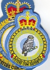 14 Software Engineering Squadron badge
