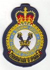 14 Training Group badge