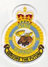15 Wing badge