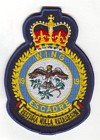 19 Wing badge