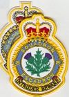 21 Squadron badge
