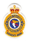 42 Radar Squadron badge