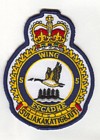 5 Wing badge