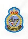 8 Air Communication and Control Squadron badge