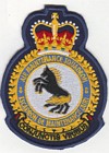 8 Air Maintenance Squadron badge