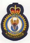 Aerospace & Telecommunications Engineering Support Squadron badge
