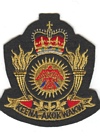Air Weapons Control & Countermeasures School badge