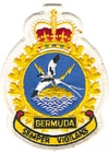 CFS Bermuda badge
