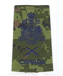 Base CWO insignia (1971-2005)