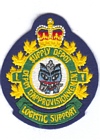 1 CF Supply Depot badge