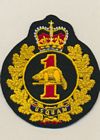 1 Engineer Support Unit badge