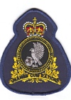 Canadian Expeditionary Force Command badge