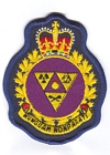 Joint Nuclear, Biological and Chemical Defence Company / Canadian Joint Incident Response Unit badge