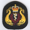 Diving Medical Officer badge