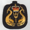 Ship's & Shallow Water Diver badge