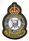 100 Squadron badge