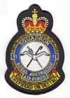 11 Squadron badge