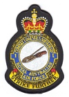 1 Combat Logistics Squadron badge