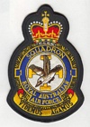 1 Squadron badge