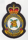 23 (Brisbane) Squadron badge