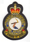 24 (Adelaide) Squadron badge