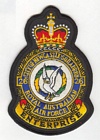 26 (Newcastle) Squadron badge