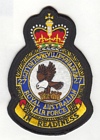 27 (Townsville) Squadron badge