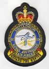 292 Squadron badge