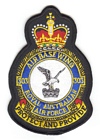 303 Air Base Wing badge