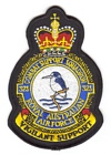 323 Combat Support Squadron badge