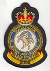 36 Squadron badge